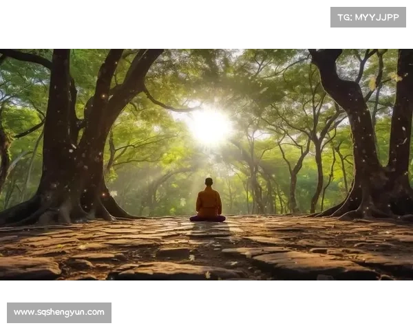 探索心灵与自然的奇妙交汇:五个理由带你走进荧光森林的冥想之旅 探索心灵与自然的奇妙交汇:五个理由带你走进荧光森林的冥想之旅