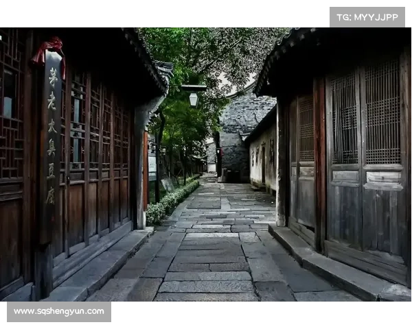 深度剖析《劫尽1.0d》版本游戏技巧与战略规划全面解析